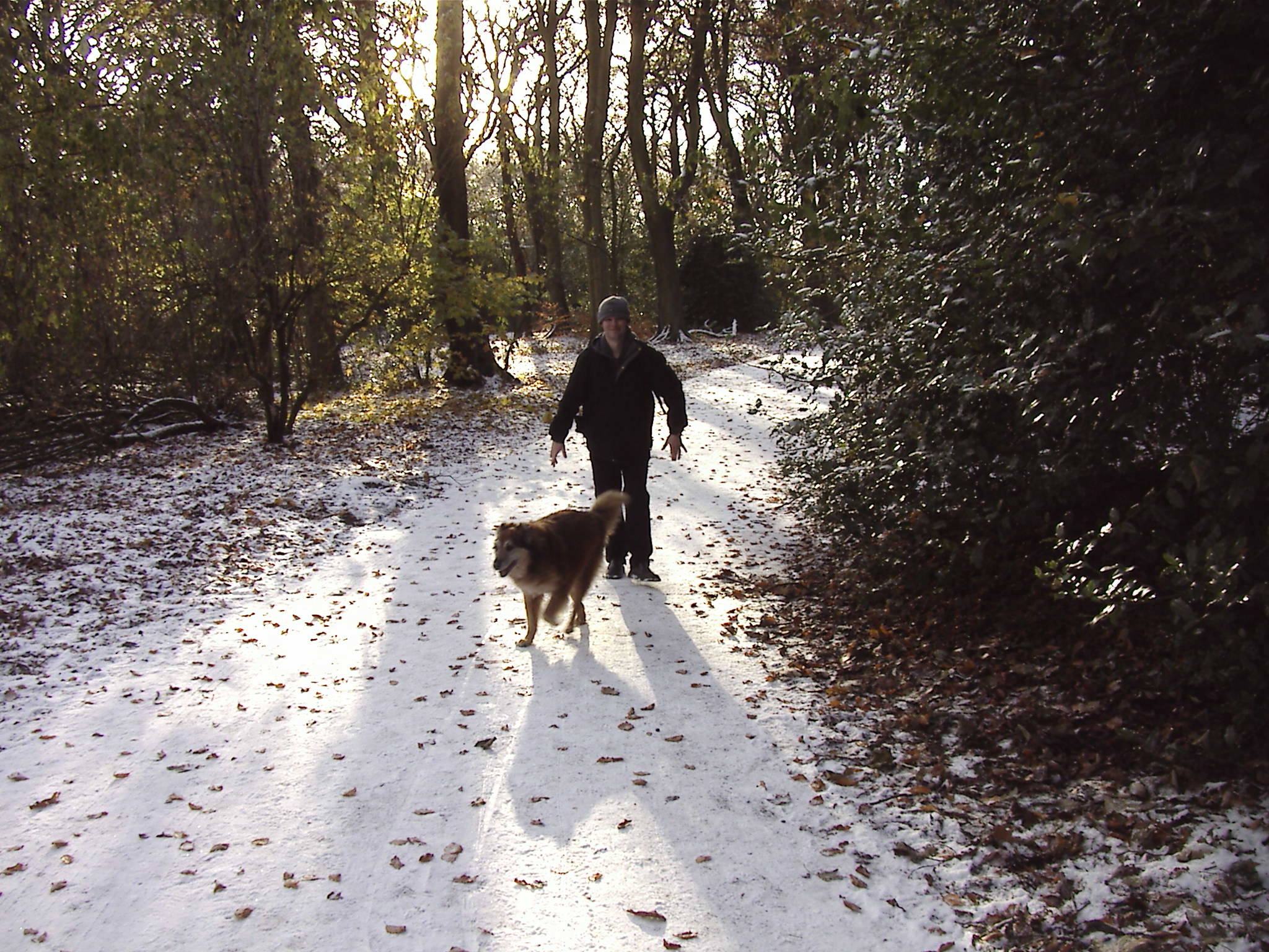 Max on Woolton Woods - Camp Hill 1/12/2010 at 12.56pm