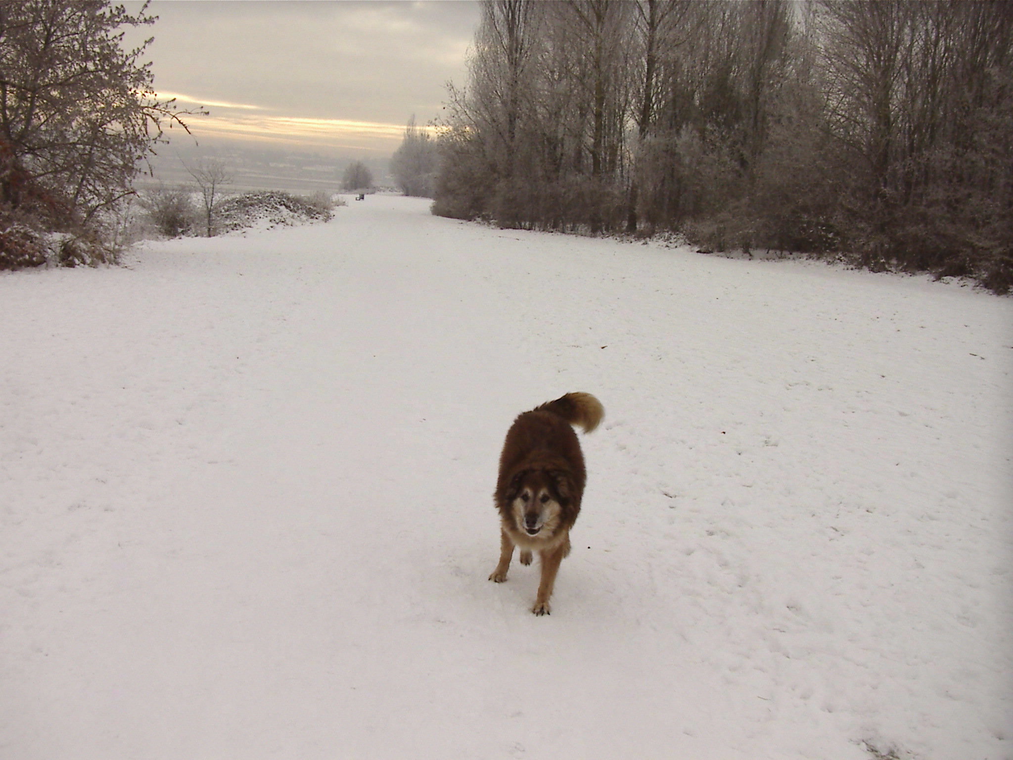 Max'sWinterWounderland-SpikeIlandWidnes25thDecember2010.JPG